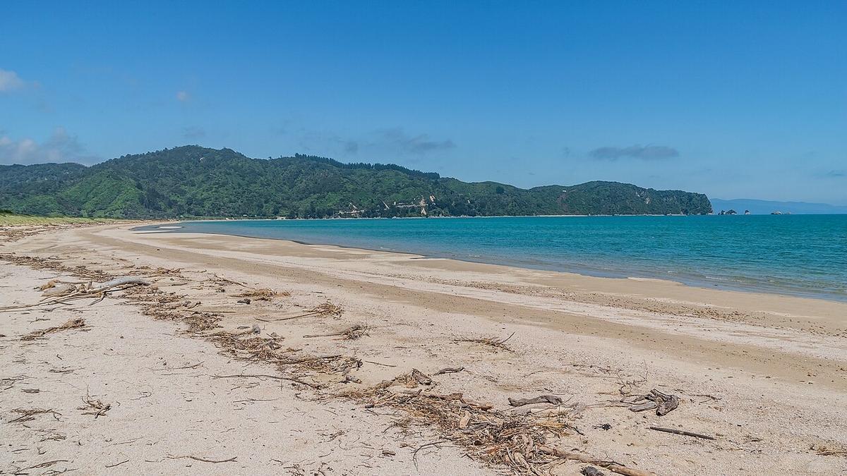 The beach and turquoise water of Wainui Bay, Abel Tasman National Park, New Zealand