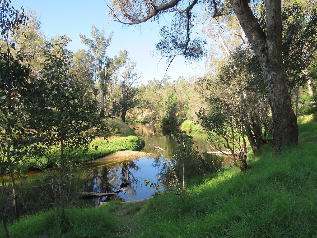 The Blackwood River at Nannup, Western Australia, with jarrah and marri on the banks