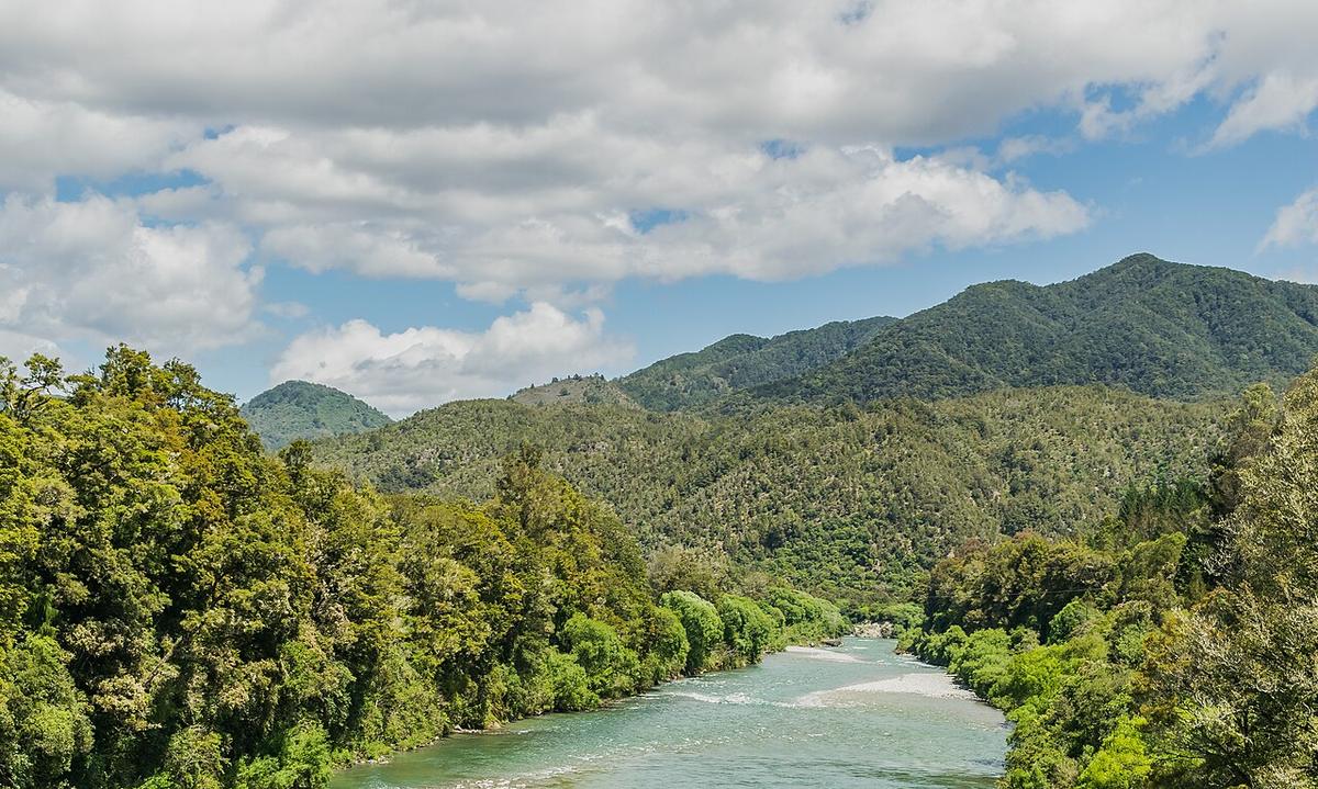 The Buller River near Murchison, running through forested hills in the Tasman Region