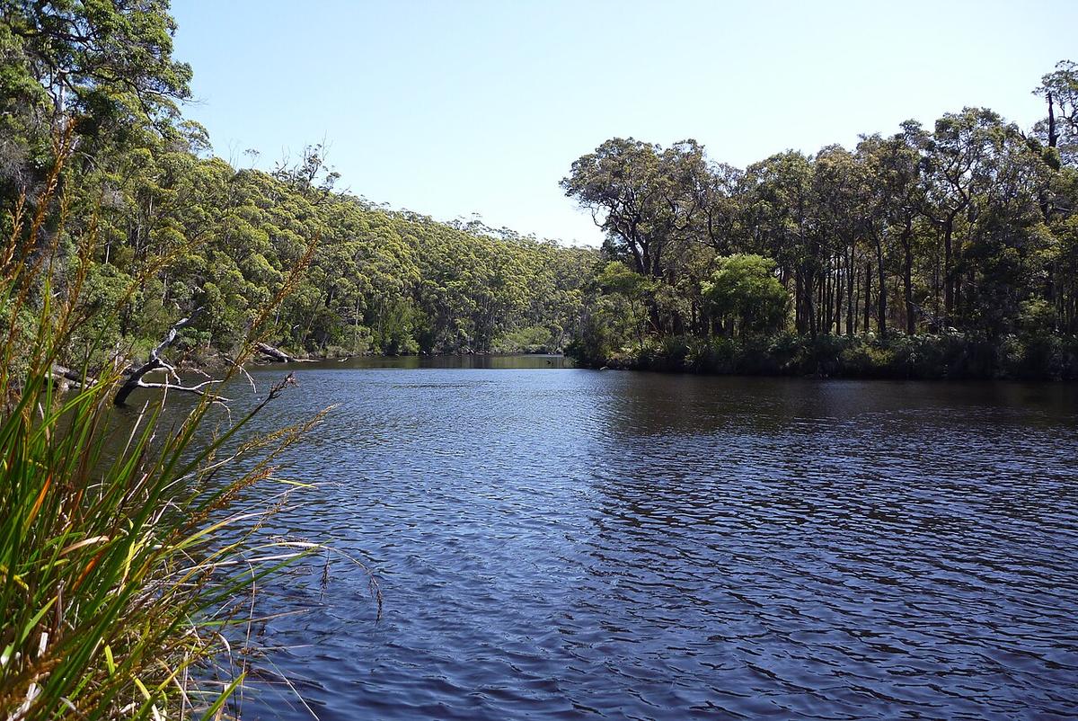 A forested bend of the Frankland River near Nornalup in Walpole-Nornalup National Park, Western Australia