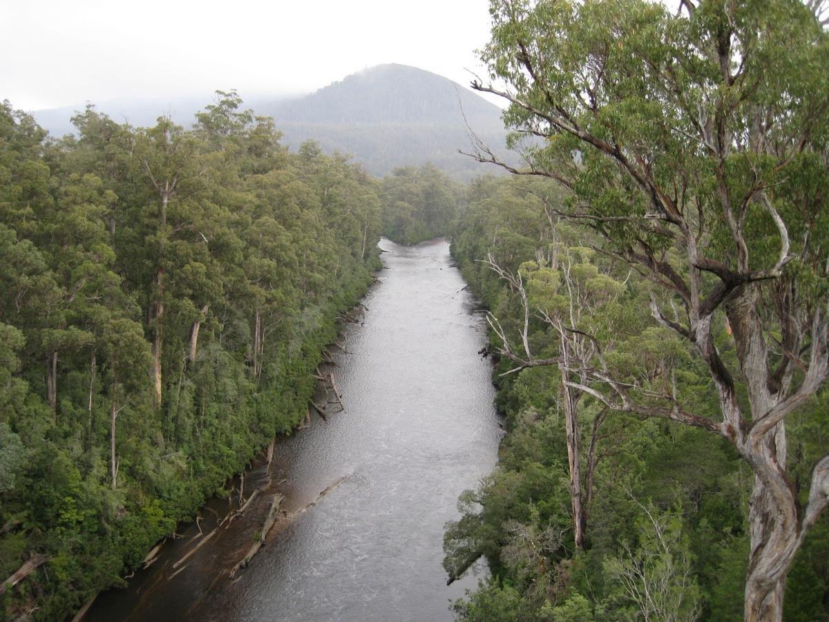 The Huon River near its junction with the Picton River, Tahune, Tasmania