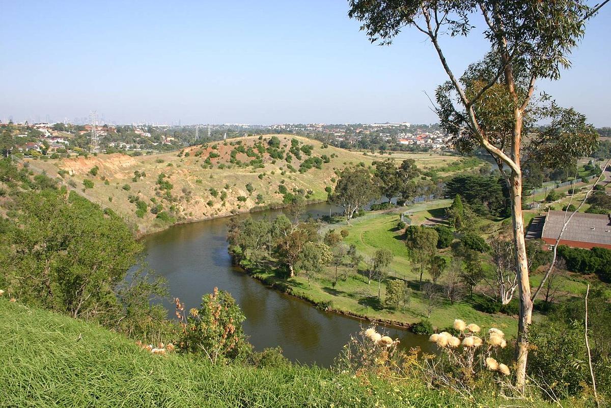 The Maribyrnong River curving below steep grassy banks at West Essendon, Melbourne