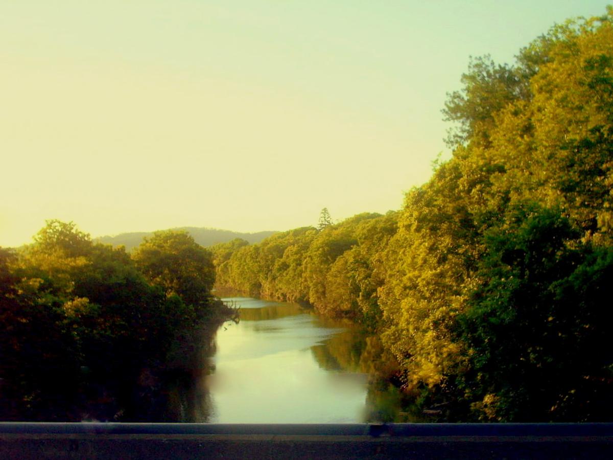 The Mary River looking north from the Kidd Bridge at Gympie, Queensland, between tree-lined banks