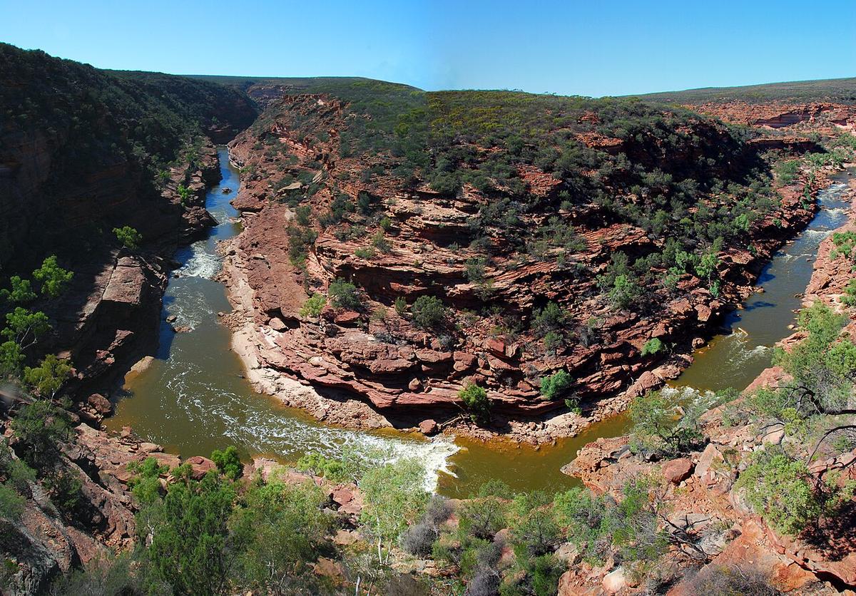 The Murchison River winding through its red sandstone gorge below the Z Bend lookout, Kalbarri National Park, Western Australia