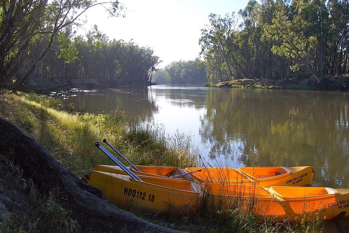 Morning sun over the Murray River in Barmah Forest, Victoria, with river red gums and canoes