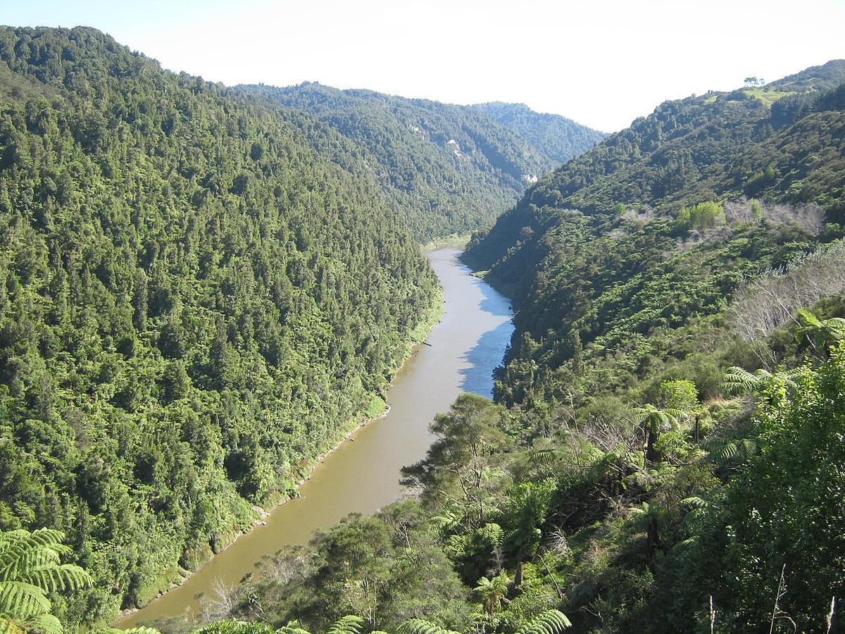 The Whanganui River winding through bush between Pipiriki and Jerusalem, New Zealand